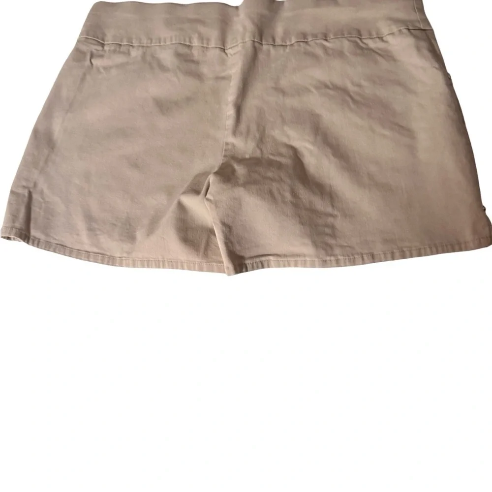 INC International Concepts Tan Shorts